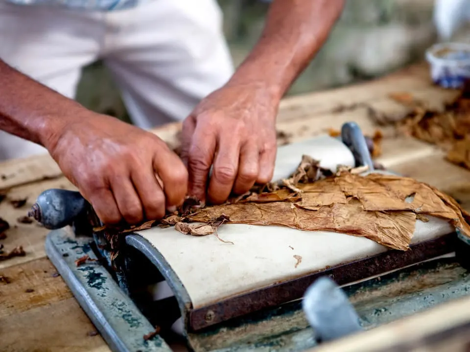 Cigar cool things to do in Havana 