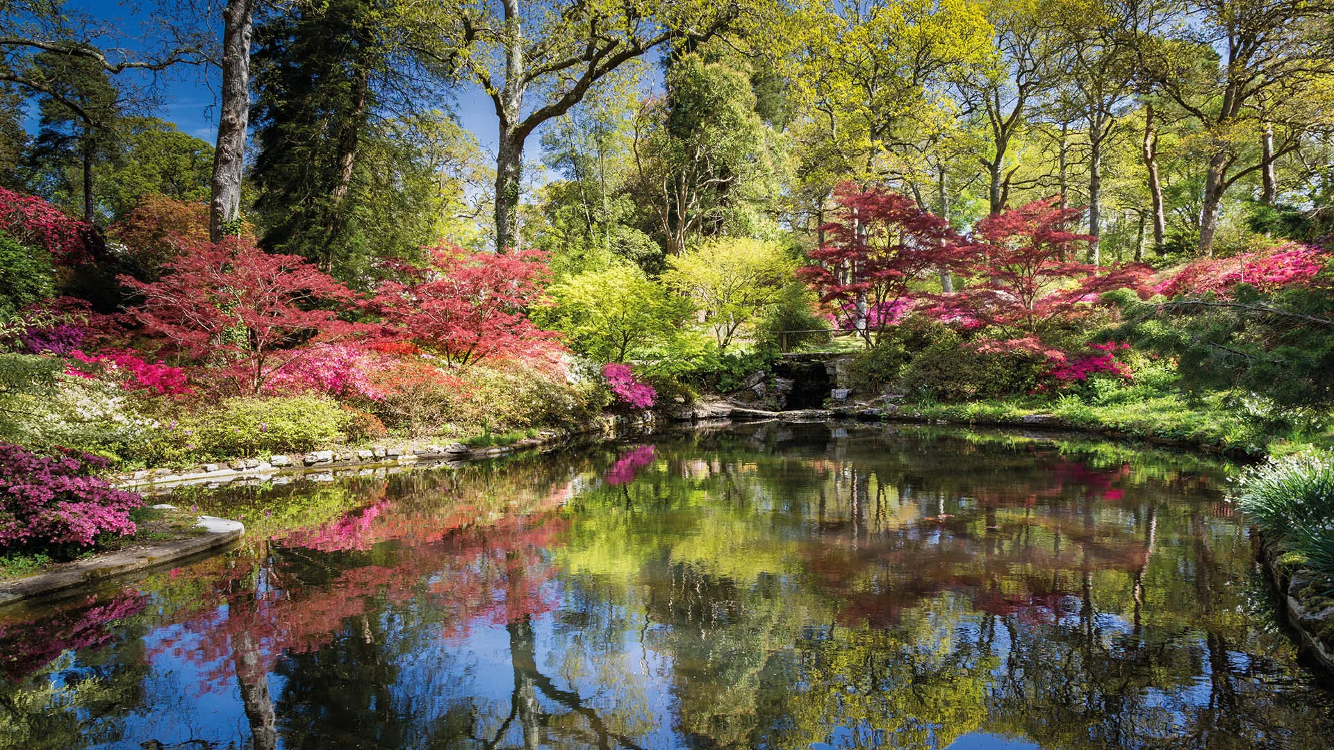 Exbury Gardens