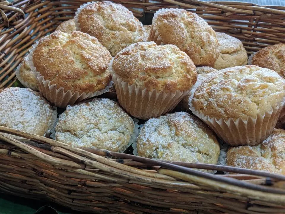 muffins in Samoa