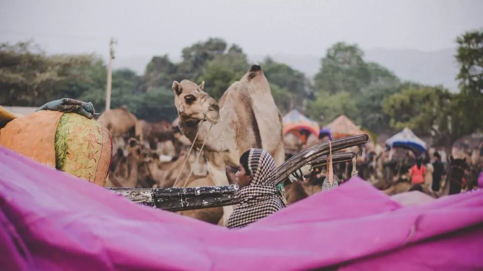 Camel Fair in Pushkar