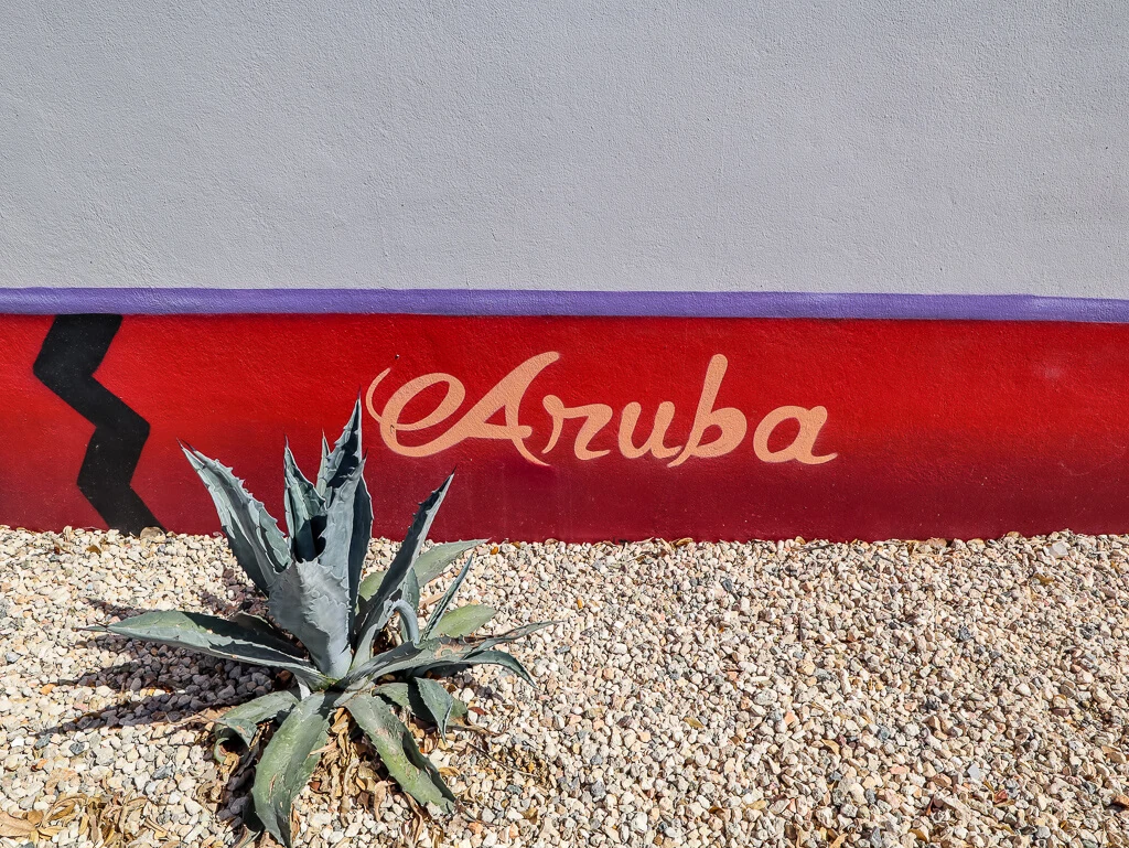 cactus jam can be one of the best souvenirs from Aruba