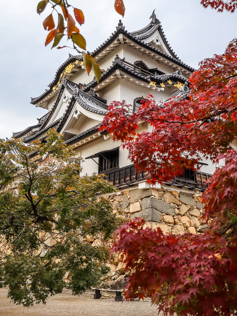 Hikone Castle in Shiga 