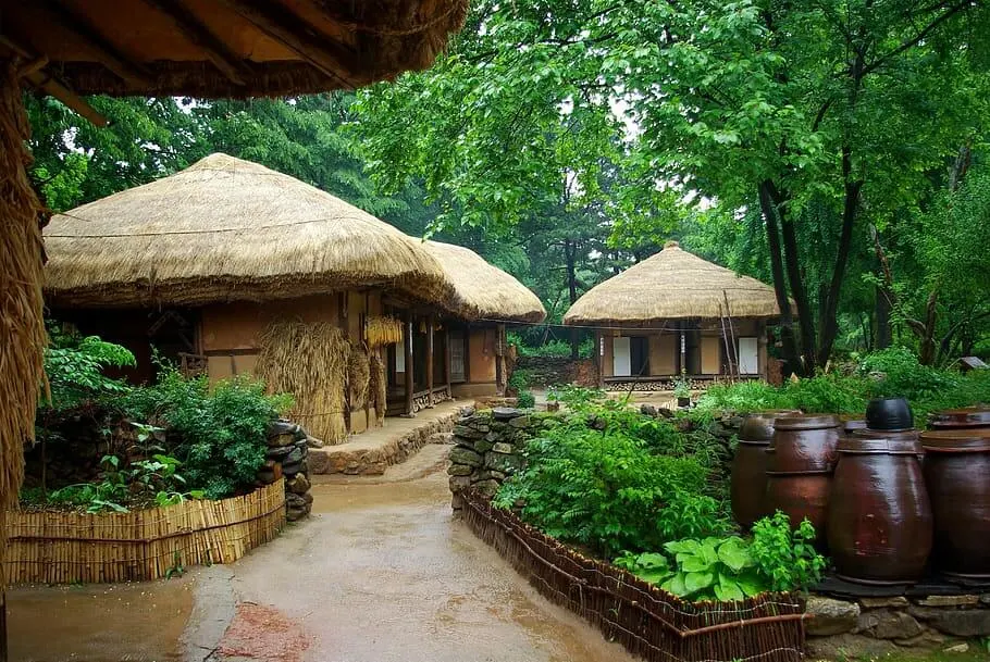 Day trips Seoul