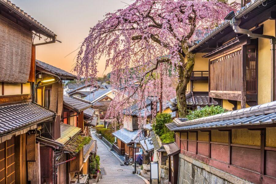 Kyoto day trips