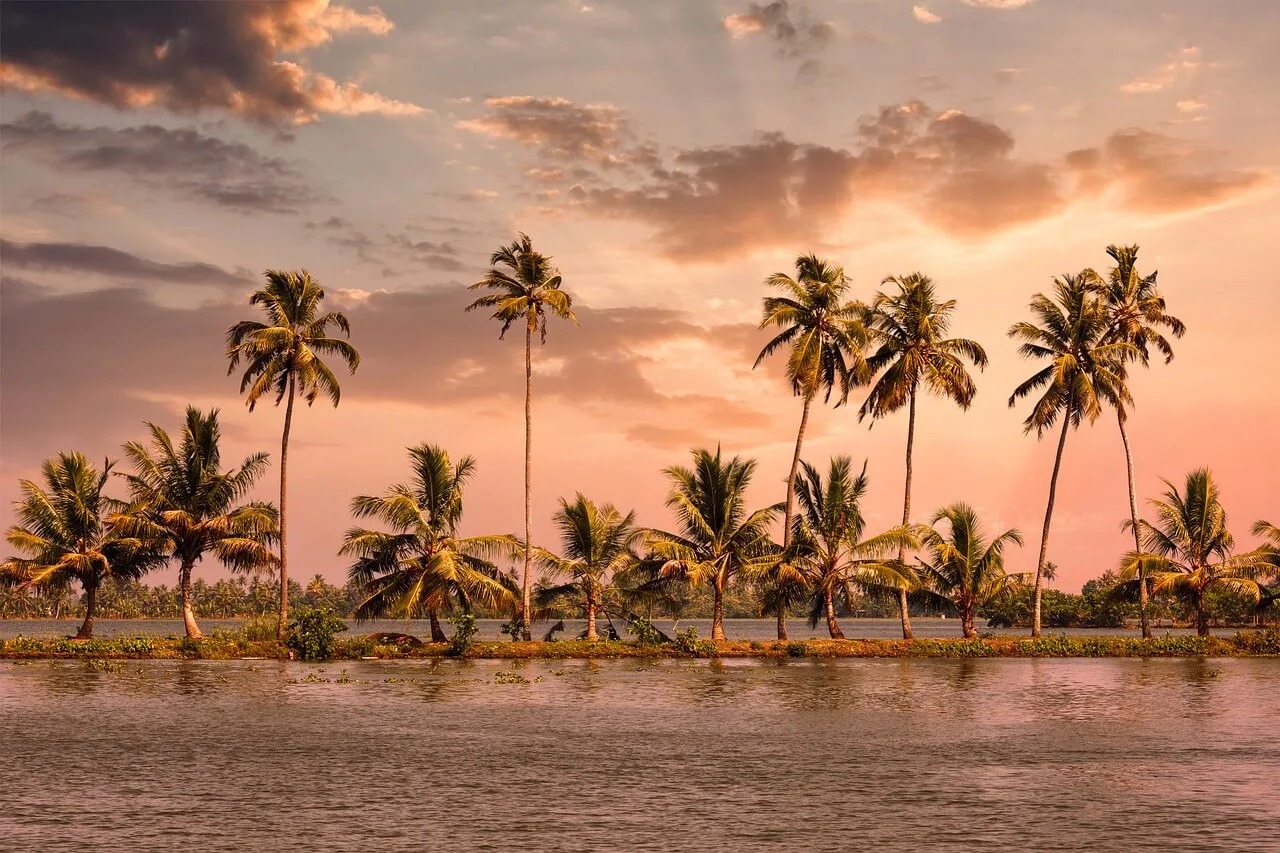 Trees in Kerala