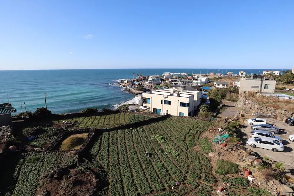  winter auf der Insel Jeju