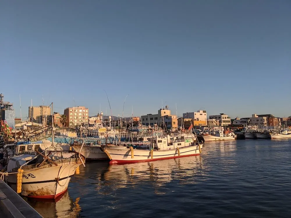 a Ilha Jeju no inverno