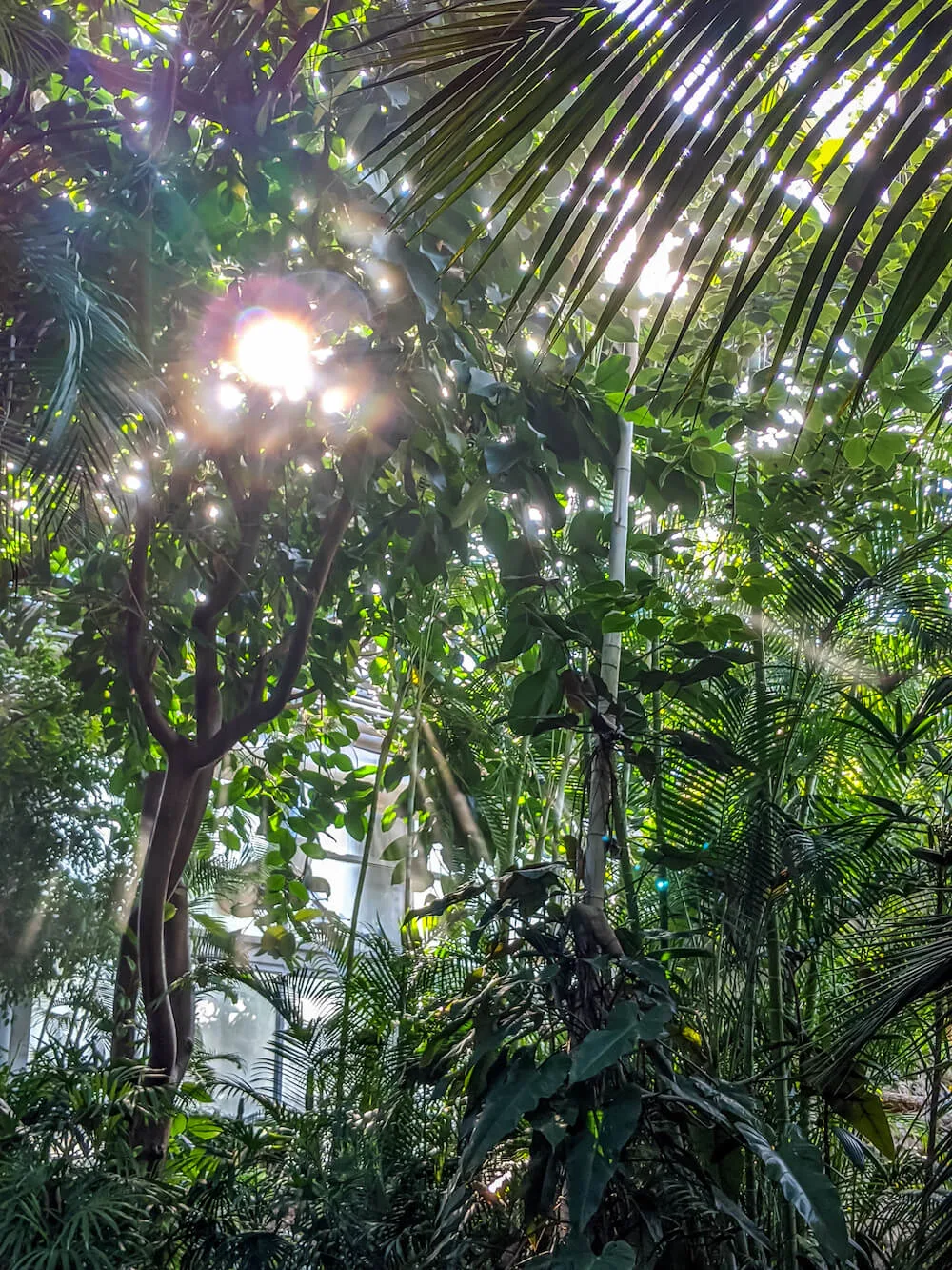 botanische tuin Jeju eiland