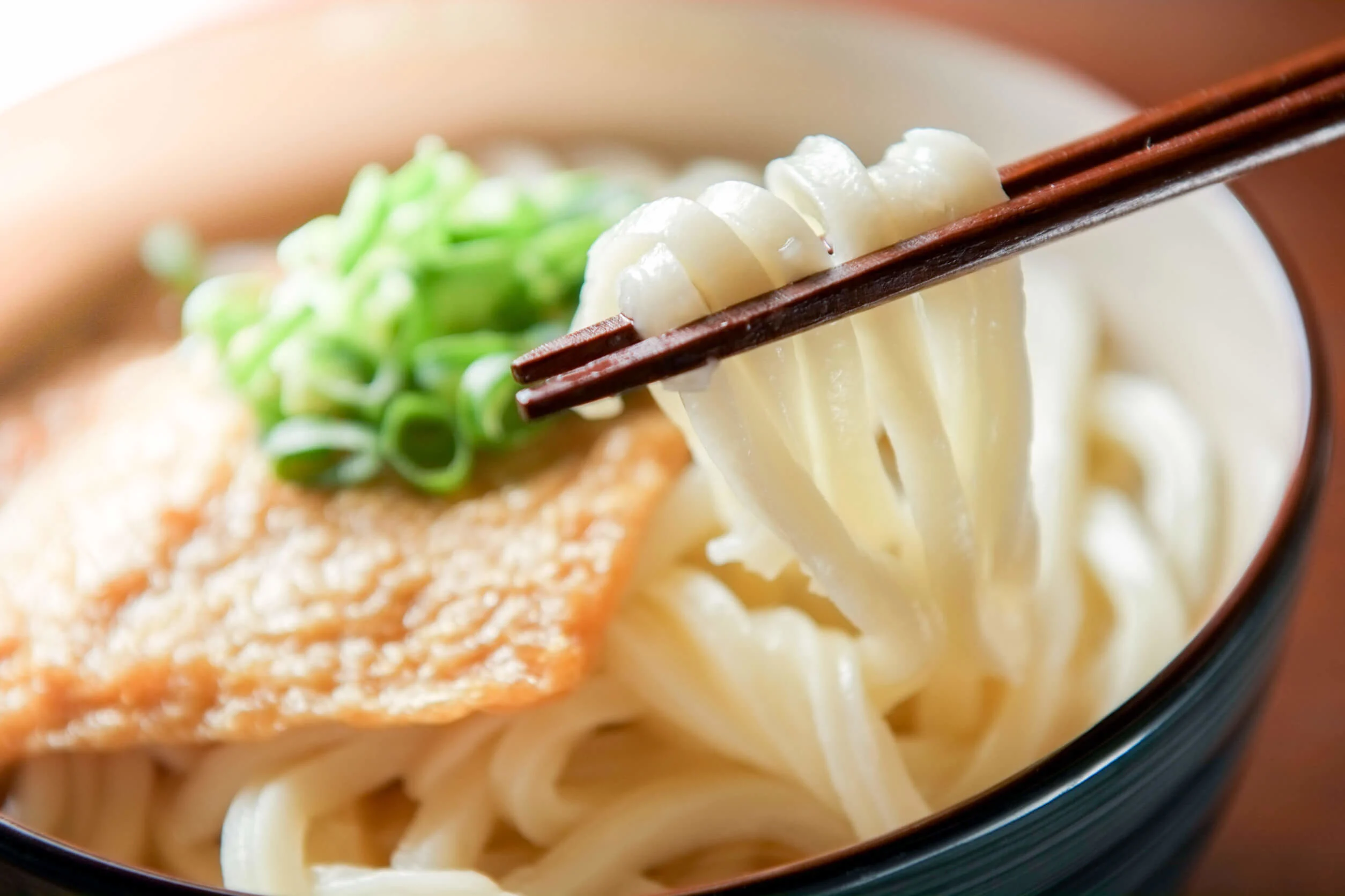 Udon noodles food in japan