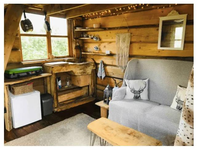 new forest glamping