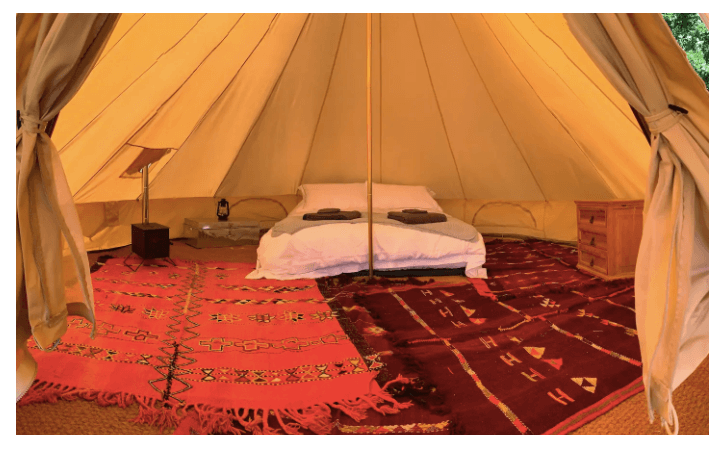 glamping new forest