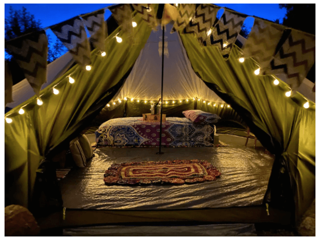 6 Amazing Places to Go Glamping in the New Forest