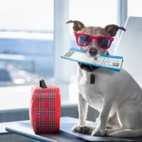 airports codes quiz