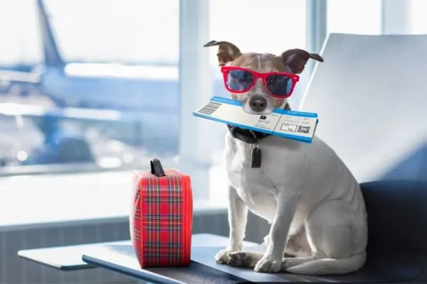 airports codes quiz