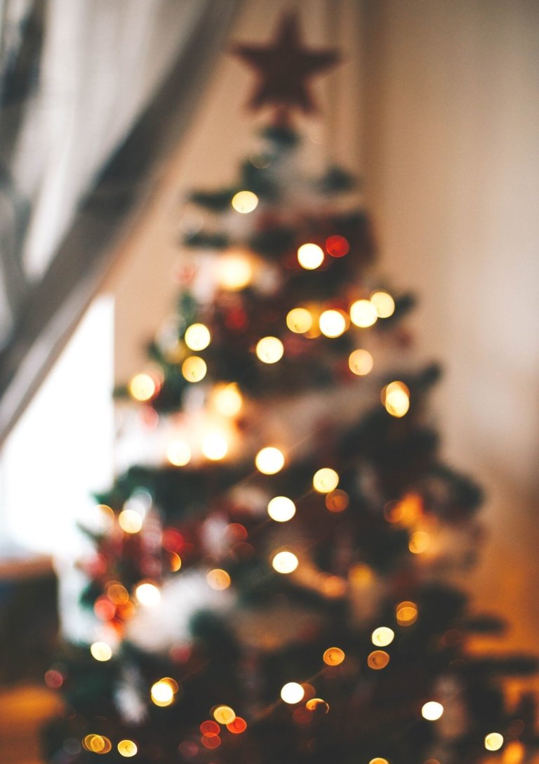 Unusual World Christmas Quiz: 50 Questions &amp; Answers for 2022
