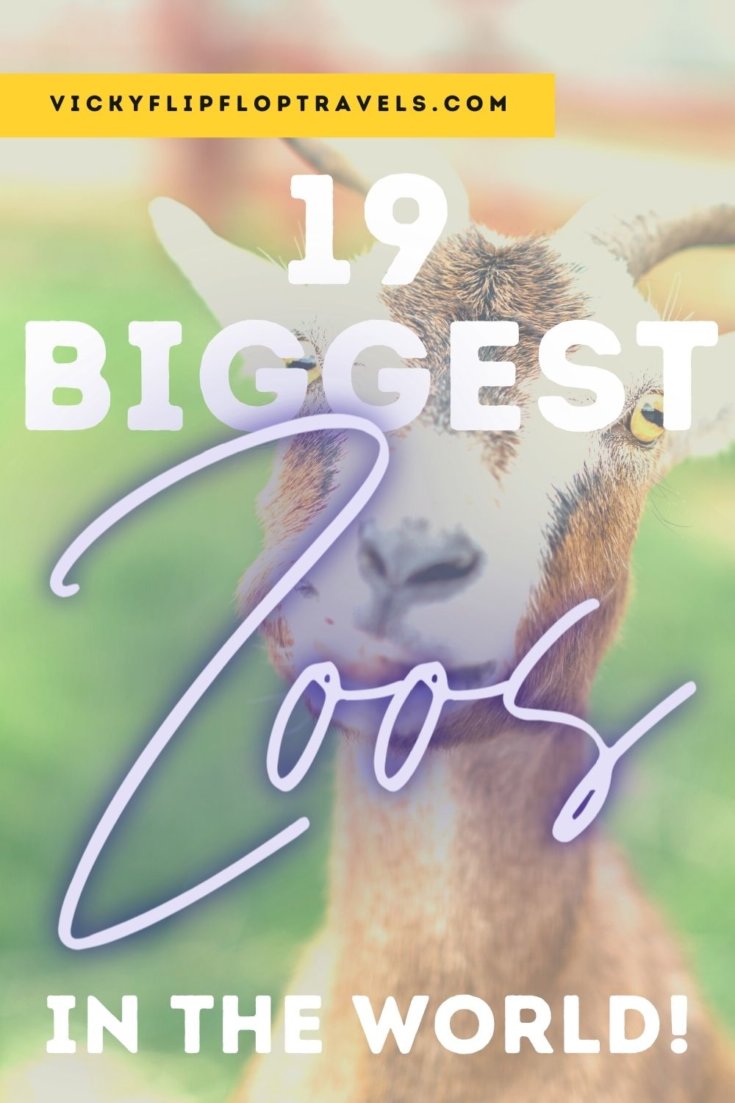 19 Best & Biggest Zoos in the World in 2021