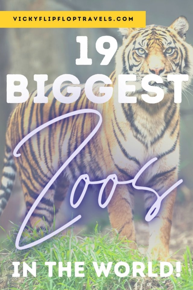 19 Best & Biggest Zoos in the World in 2021