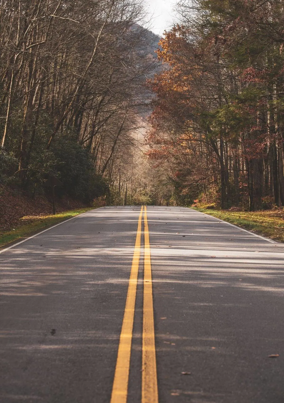road trip quotes