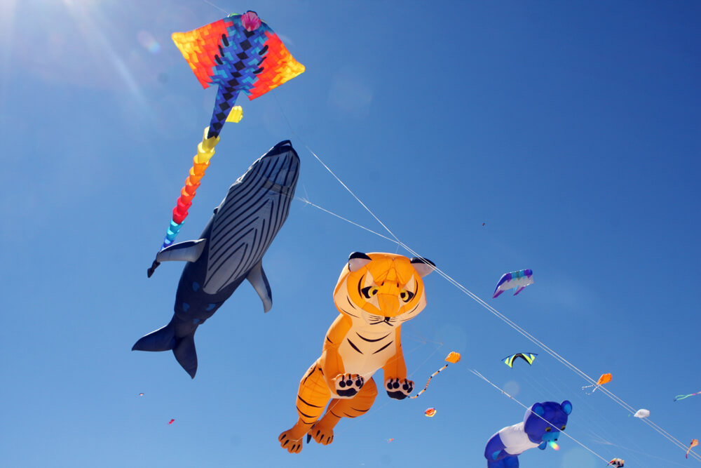 Kite festivals