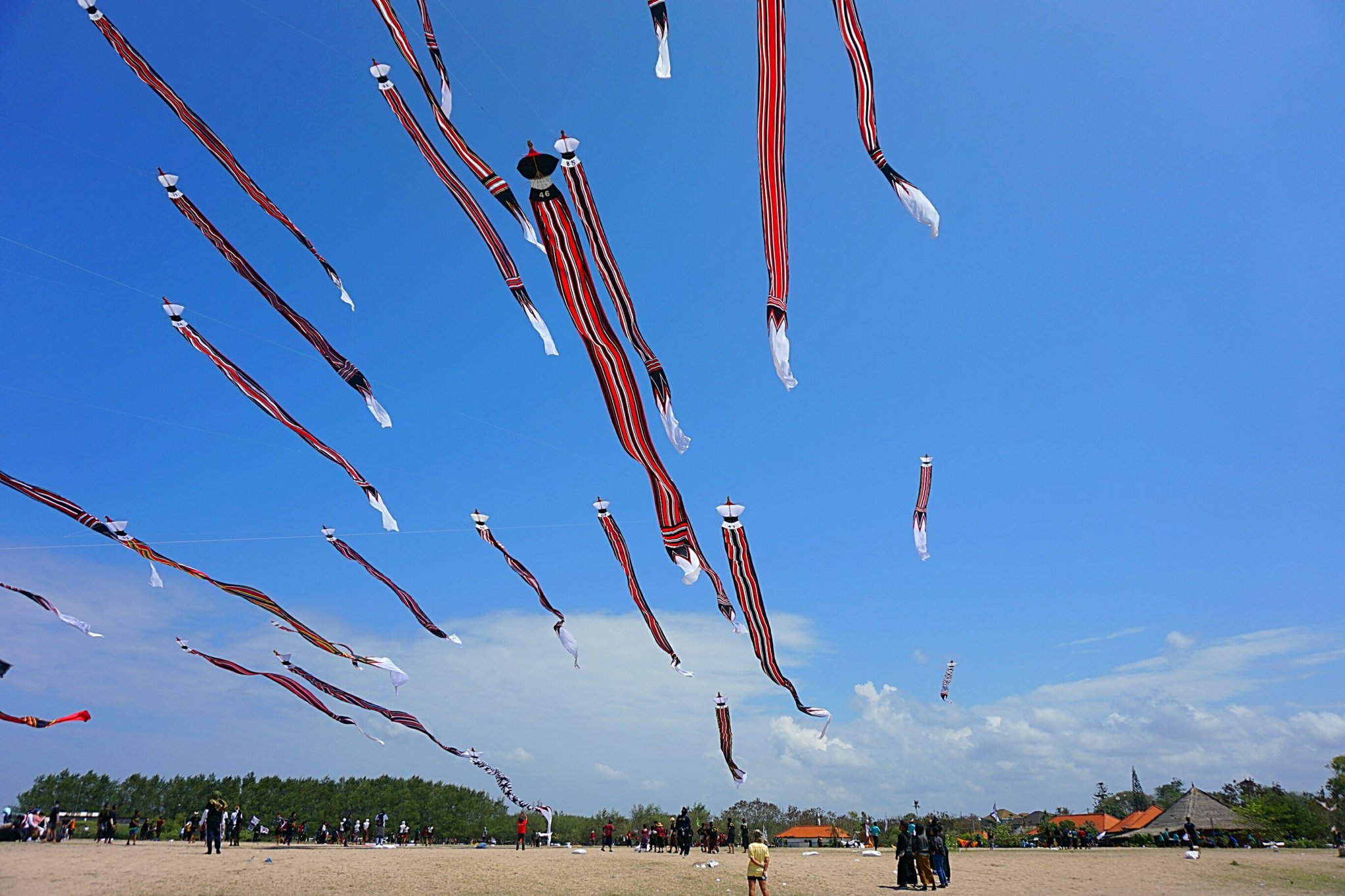 9 Best Kite Festivals Around the World You Need to See