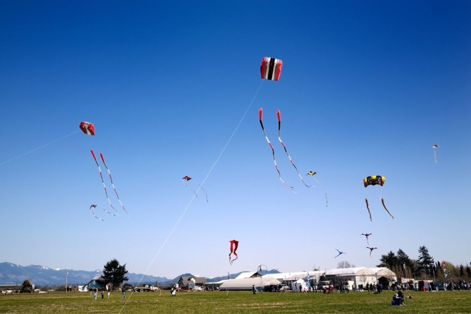 9 Best Kite Festivals Around the World You Need to See