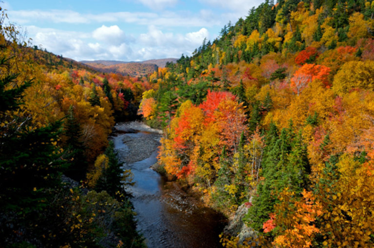 How to Plan the Ultimate Trip to Nova Scotia, in Canada