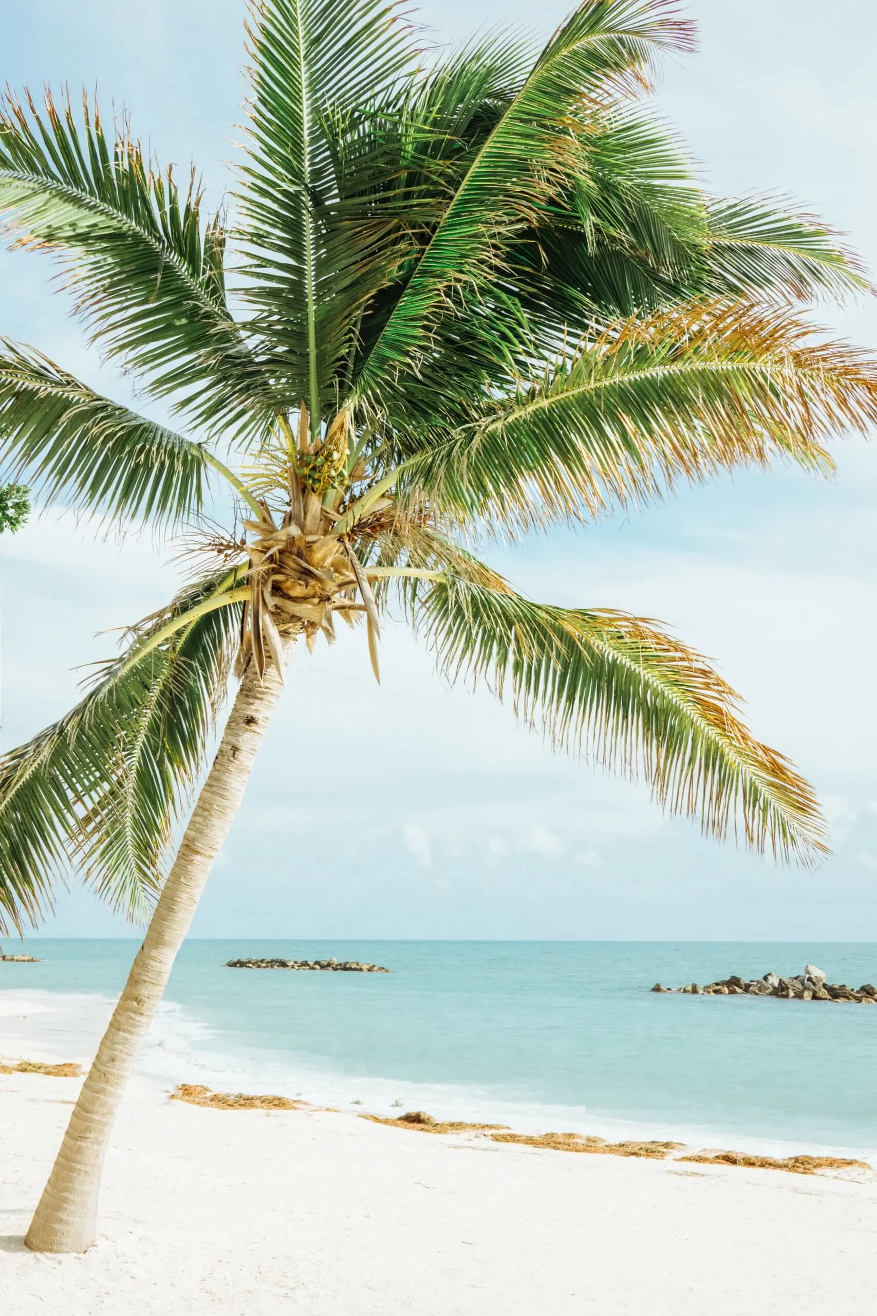 travel tips in the florida keys