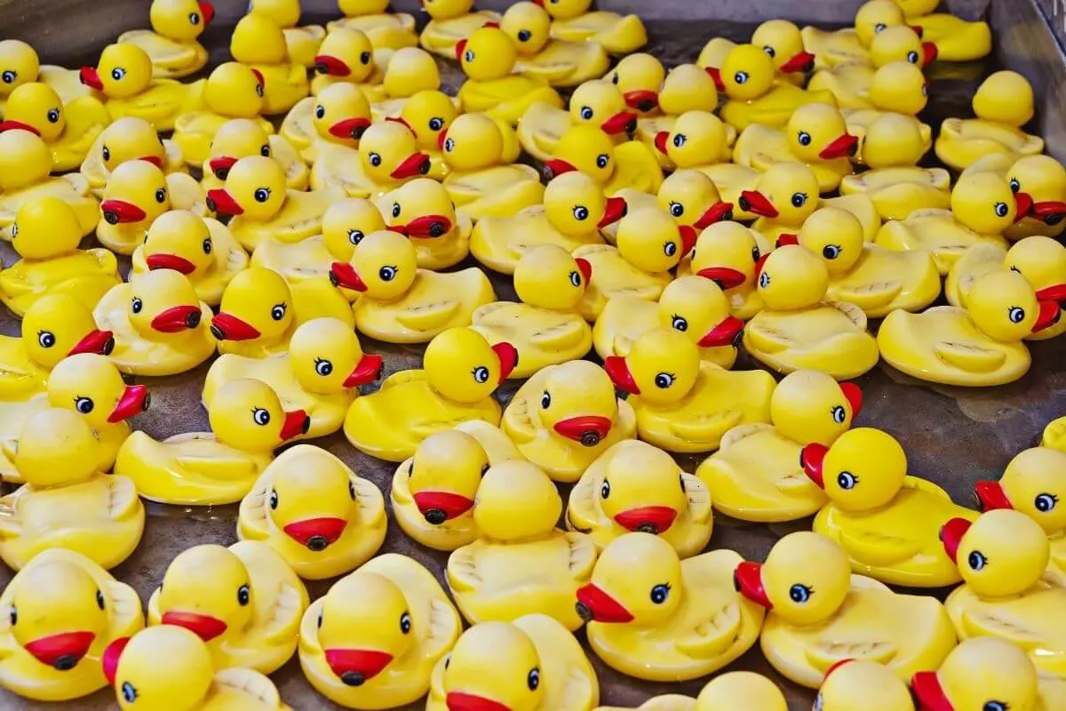 october festival duck