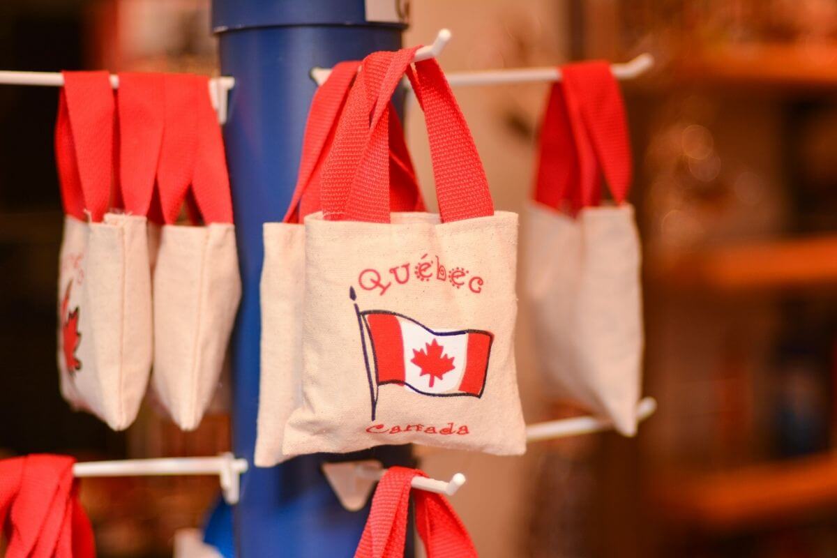 20 Best Souvenirs from Canada to Remember Your Trip By
