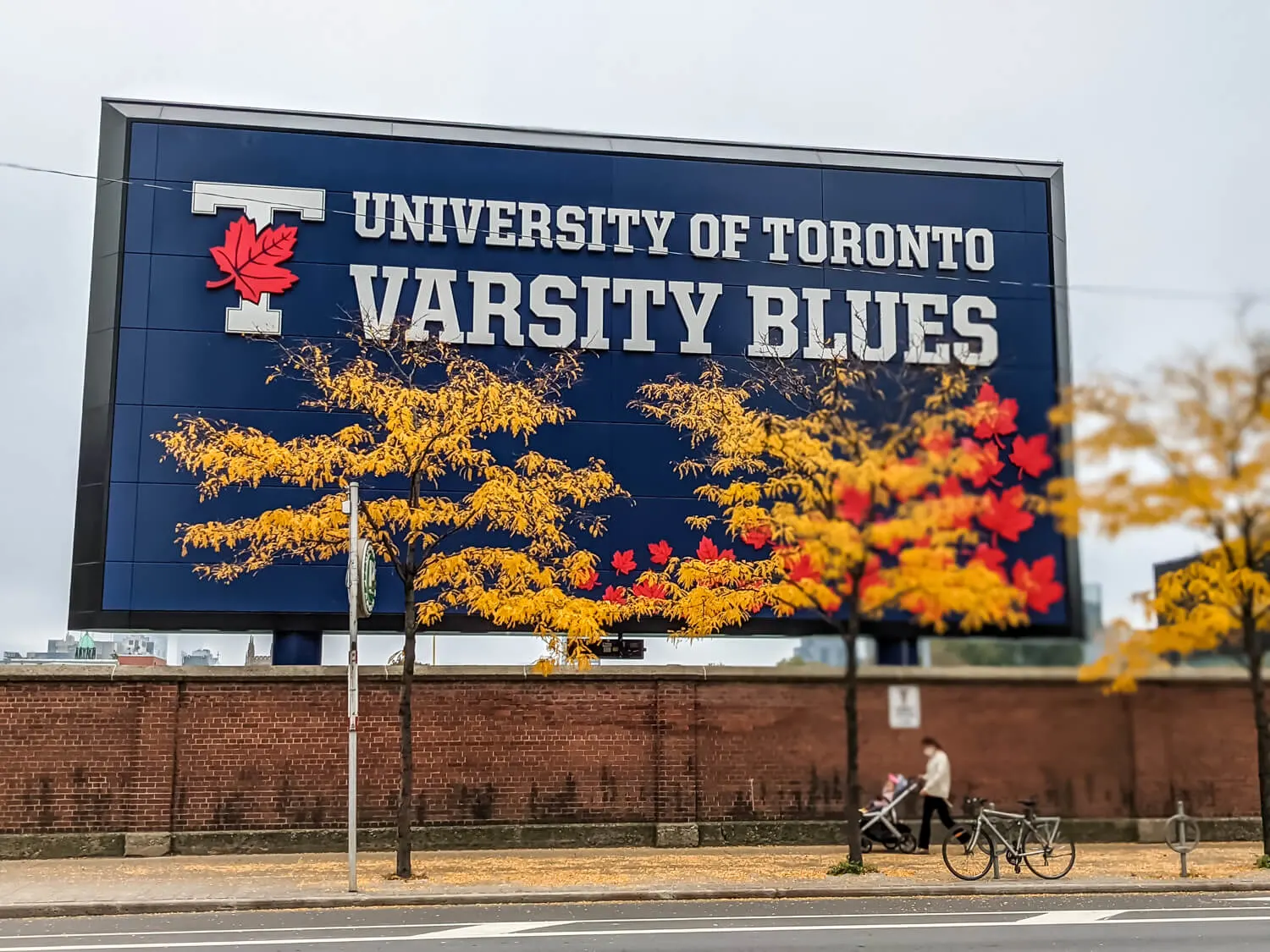 what to do in toronto