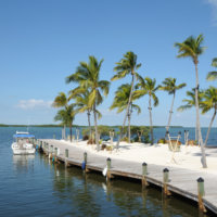 Jetty and Palm Trees on Florida Keys