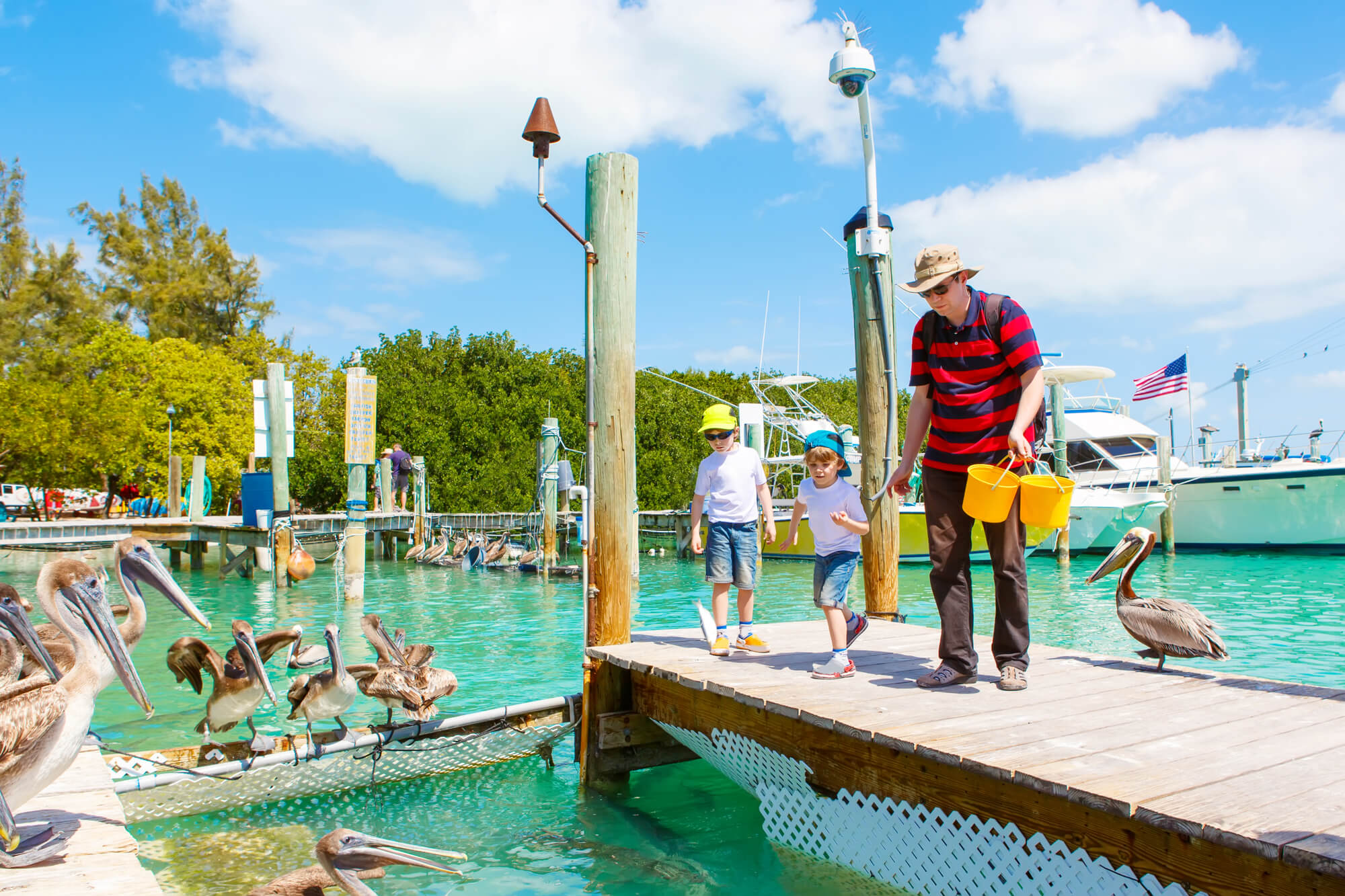 Young father and two little kid boys feeding fishes and big brown pelicans in port of Islamorada, Florida Keys. Man and his sons, preschool children having fun with observing animals.