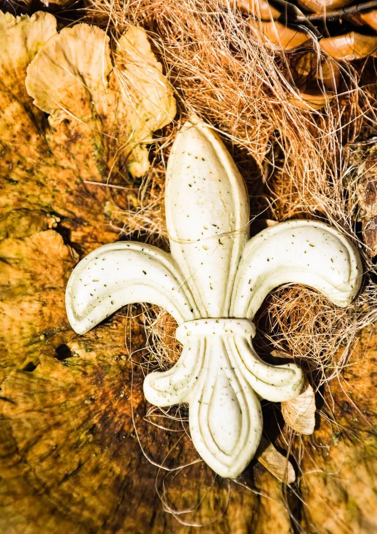 nola souvenirs