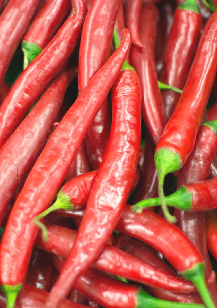 18 Best Souvenirs from New Orleans to Remember Your Trip