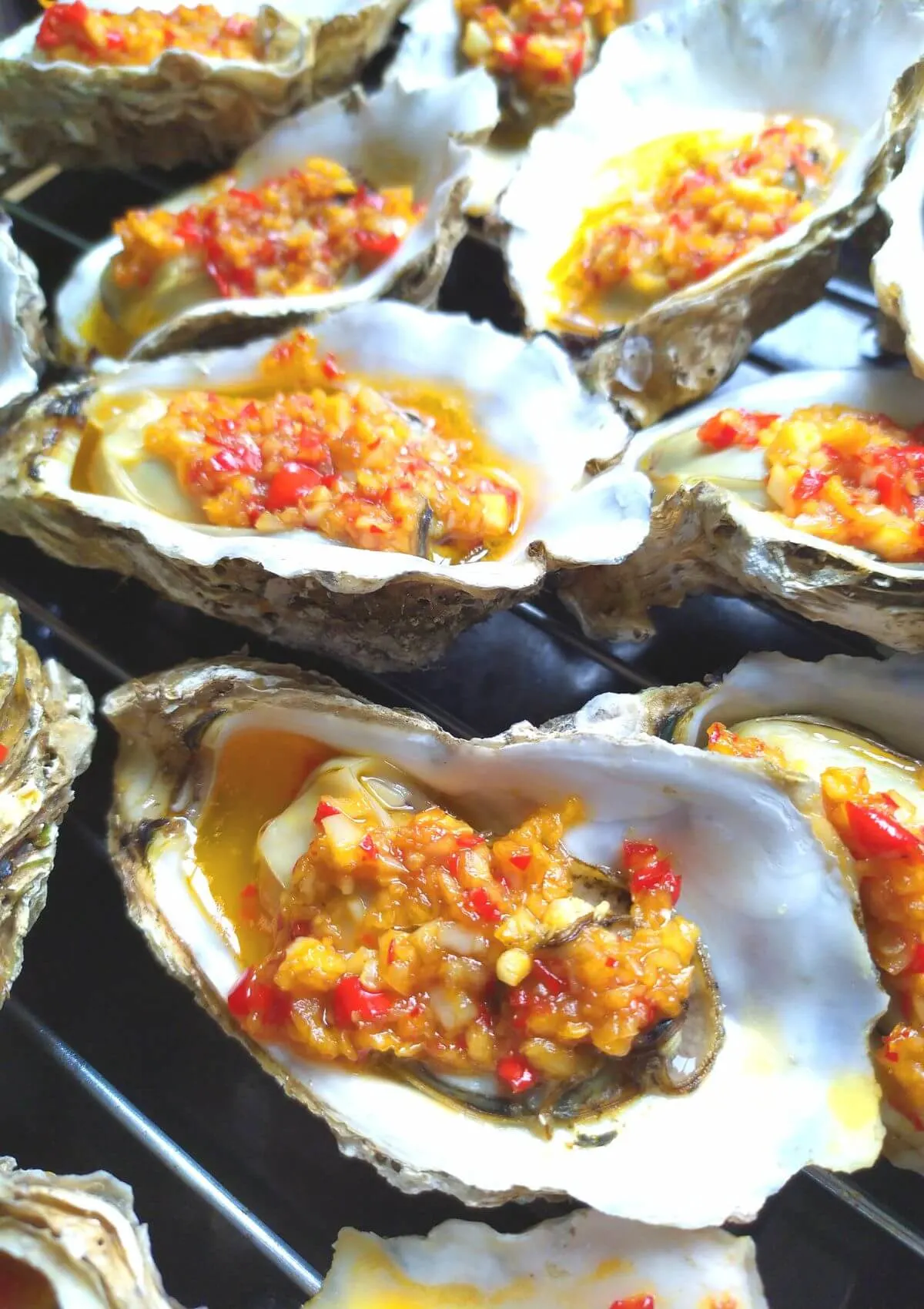 panama city beach oysters