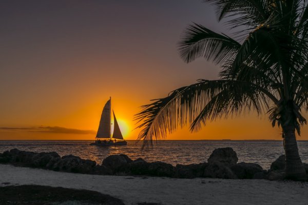 Sunset over Key West in Florida, looking out over the water with a palm tree in the forefront of the photo and a sailboat passing just as the sunsets.