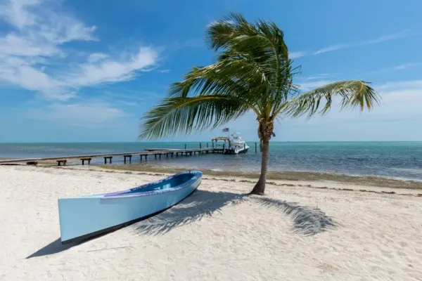 A peaceful white sandy beach in Islamorada with a canoe nestled underneath a palm tree looking out over open blue waters.