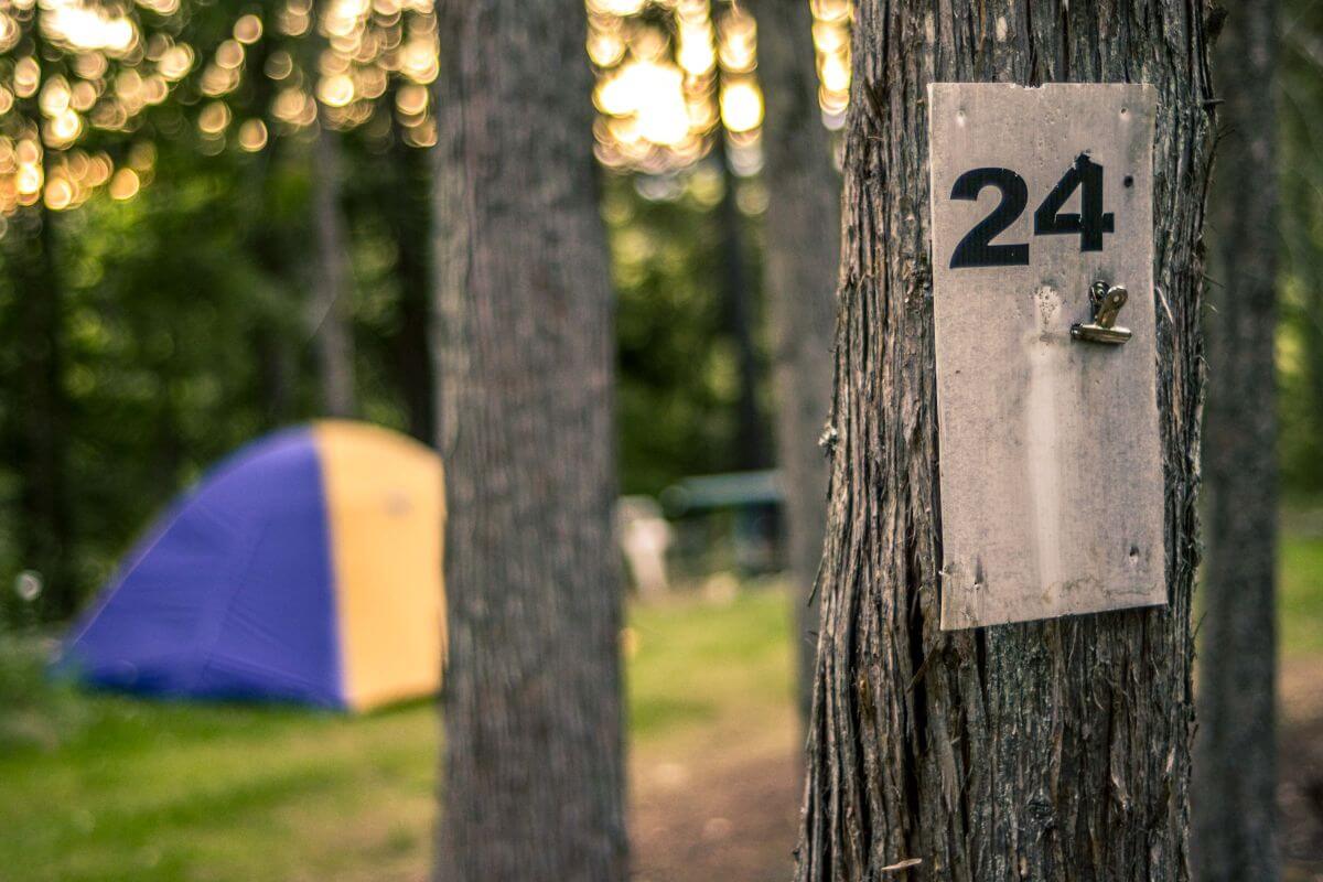 french campsites