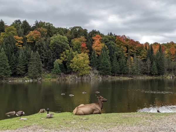 Fall in Canada