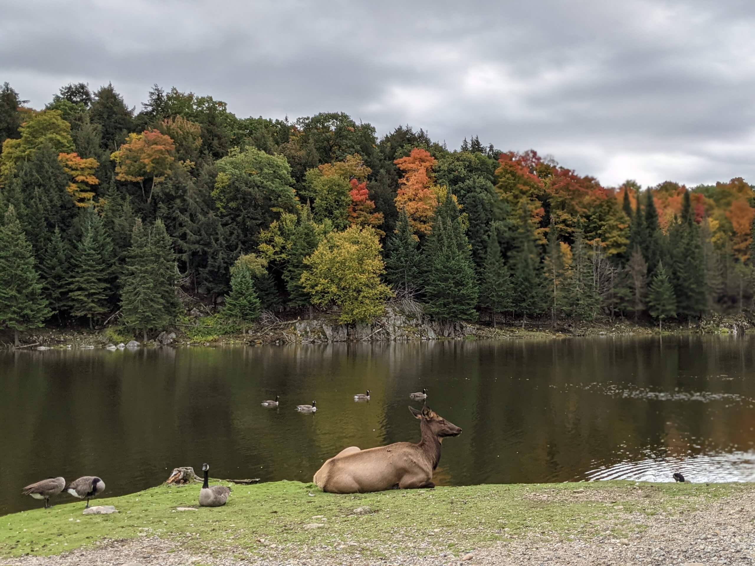 Autumn in Canada: 11 Best Places To Visit