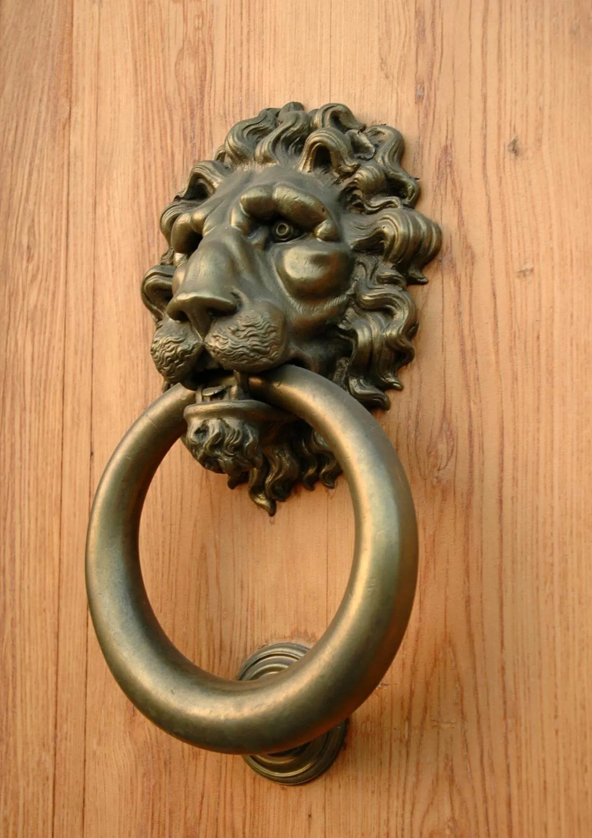 italy lion door knockers