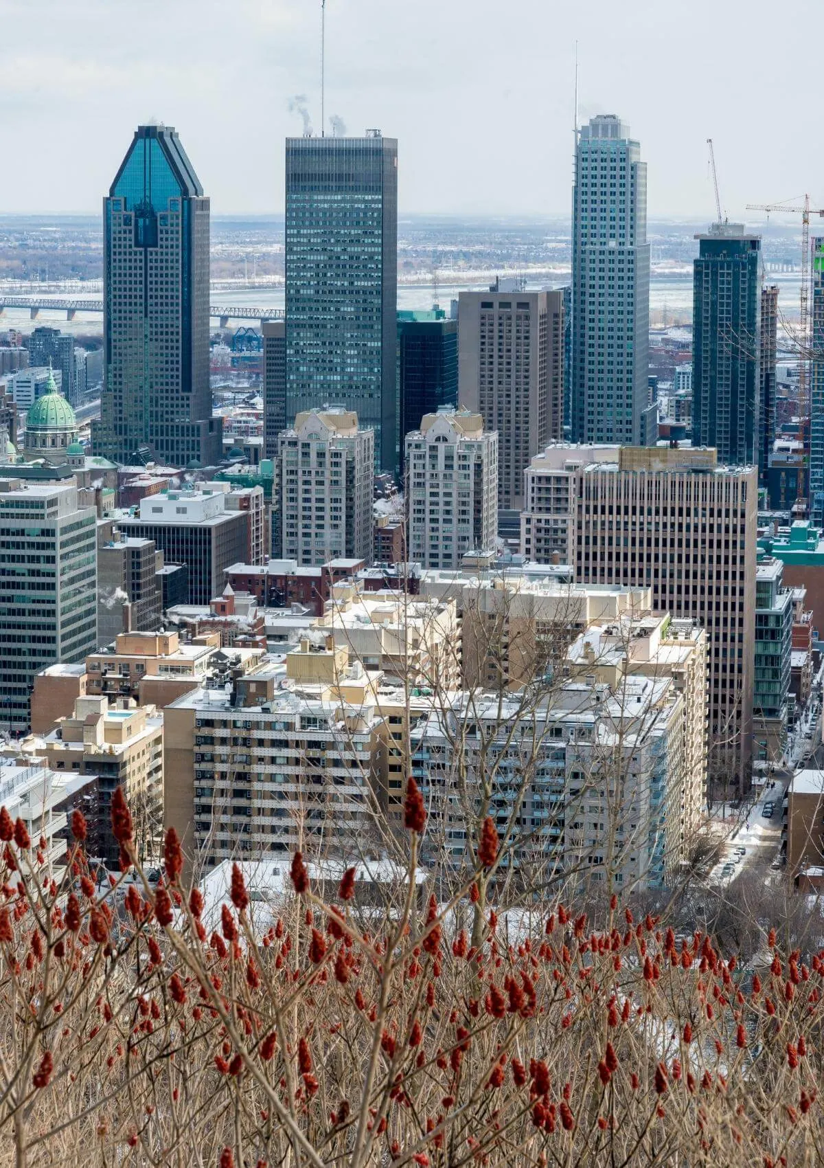 Montreal Winter Skyline