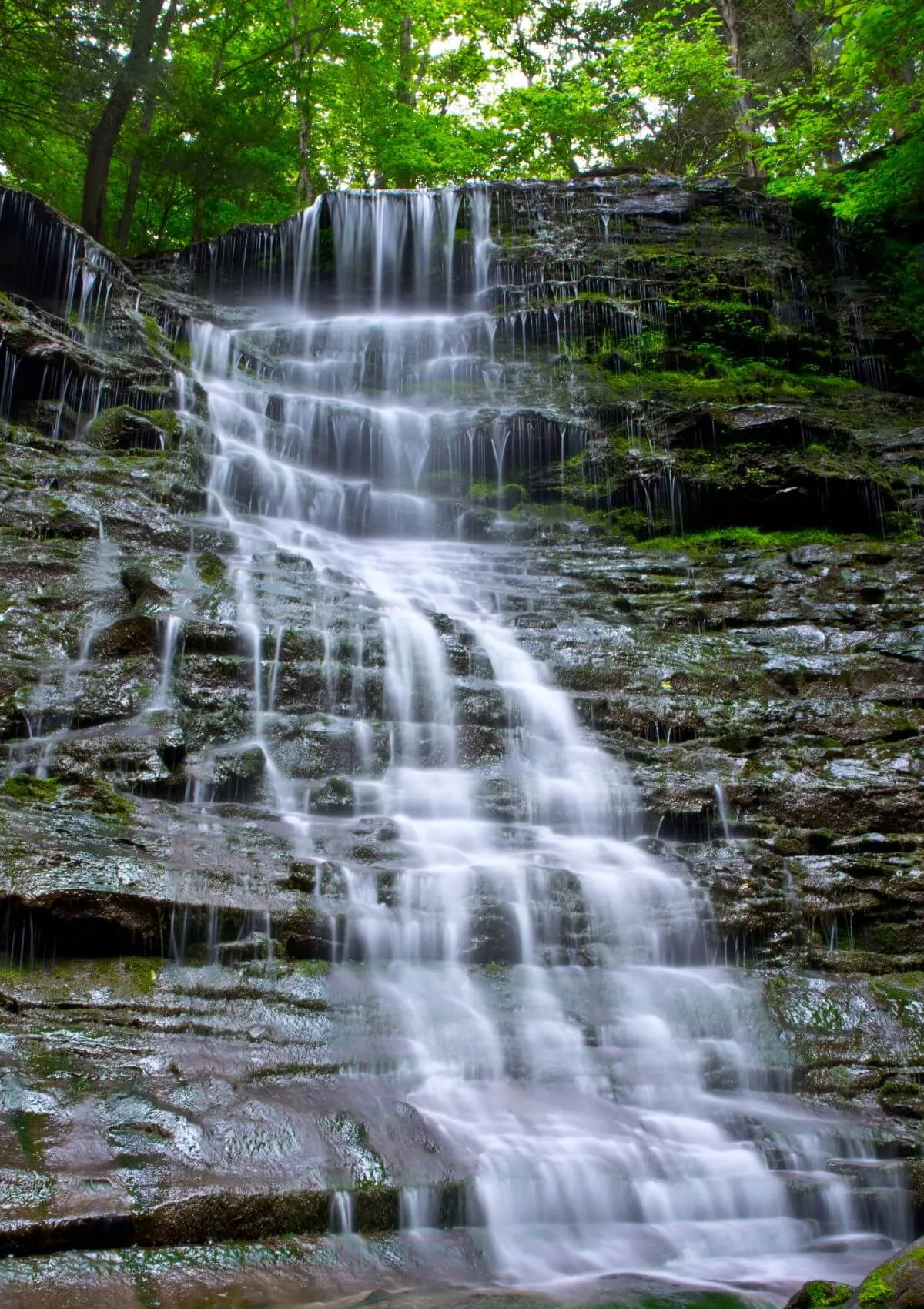 Don't look up – Tennessee Lookout