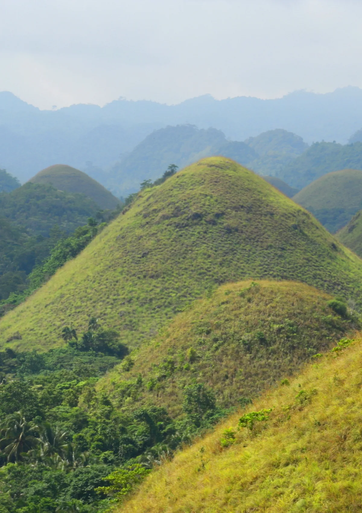 philippine chocolate hills