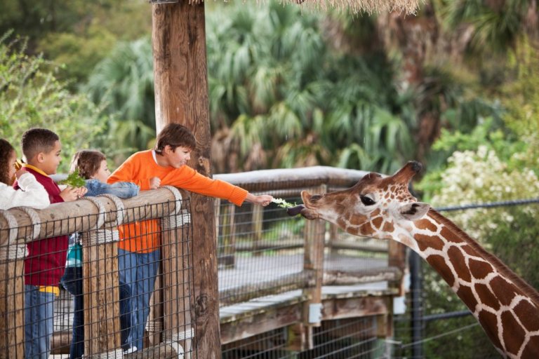 19 Best & Biggest Zoos in the World for 2025