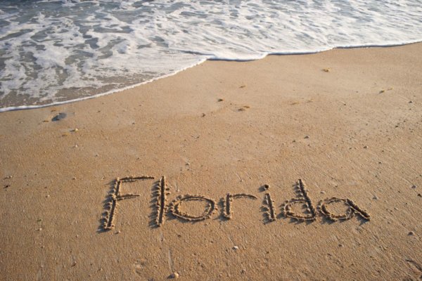 souvenirs from florida