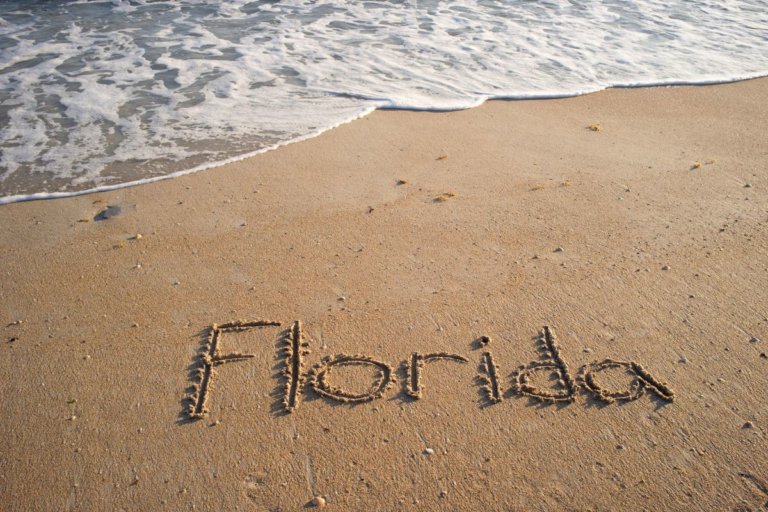 10 Best Souvenirs from Florida to Remember Your Trip By