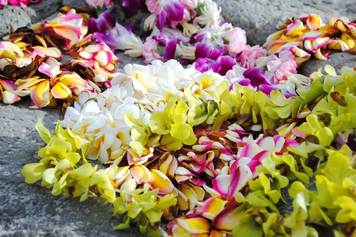 Hawaiian lei souvenirs from the United States