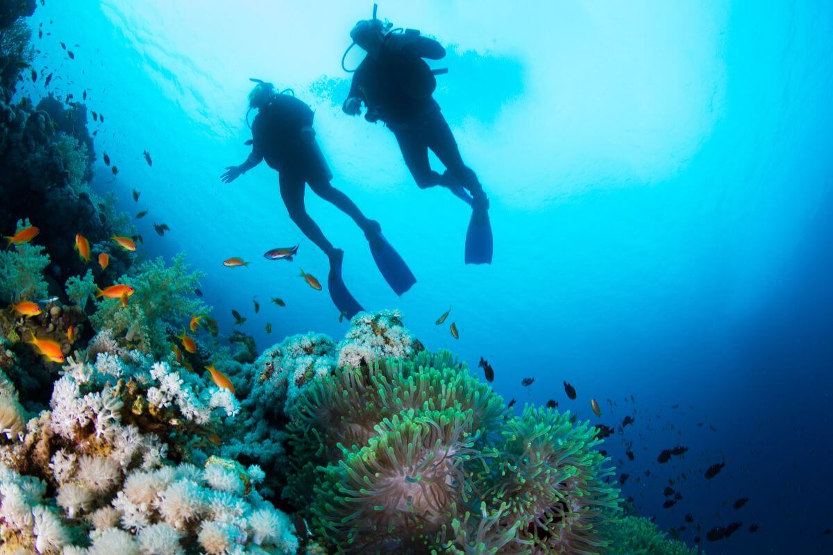 10 Best Places to Go Scuba Diving in the Philippines