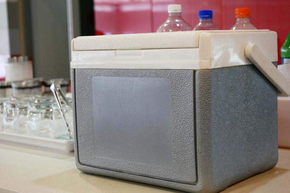 8 Best Cool Boxes for Festivals and Camping